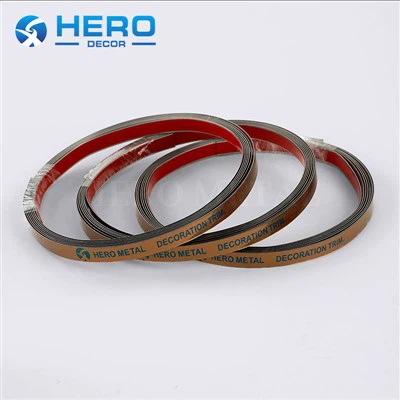 Bande plate en acier inoxydable